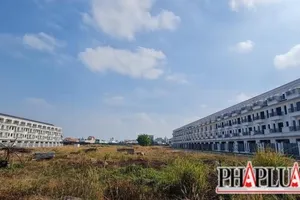 UBKT Tỉnh uỷ Đồng Nai đề nghị kỷ luật cán bộ liên quan sai phạm khu dân cư Bình Đa