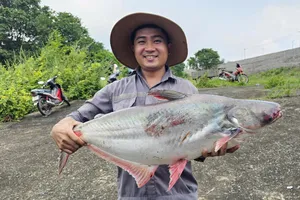 Hàng ngàn người đi săn cá to ở đập Thủy điện Trị An