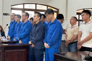 Xét xử 3 lãnh đạo cùng các đăng kiểm viên tại Trung tâm đăng kiểm ở Đồng Nai