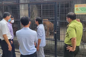 Sức khỏe 30 người tiếp xúc gần với hổ chết bất thường tại Khu du lịch Vườn Xoài 