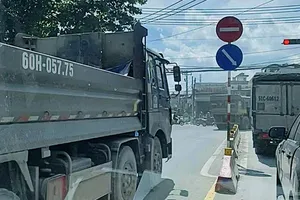 Đoàn xe ben chạy ngược chiều, vượt đèn đỏ ở Đồng Nai