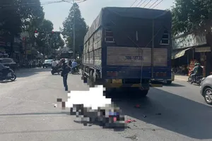 Đồng Nai: 1 học sinh đi xe đạp điện bị xe tải cán tử vong