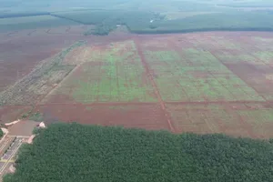 Đấu giá khu đất cụm công nghiệp Long Giao với mức khởi điểm hơn 788 tỉ đồng 