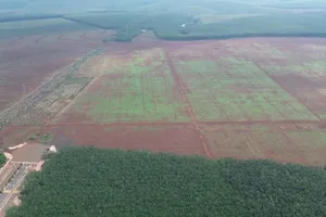 Chốt ngày đấu giá đất cụm công nghiệp 56 ha, giá khởi điểm gần 789 tỉ đồng ở Đồng Nai