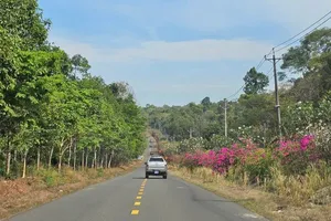 Đồng Nai đưa ra phương án xây cầu Mã Đà, làm đường nối tỉnh Bình Phước