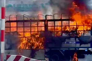 Xe tải đang chạy thì bốc cháy dữ dội trên quốc lộ 51