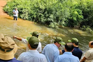 Đồng Nai cấp bách xây cầu Mã Đà để cán bộ từ Bình Phước đi qua lại