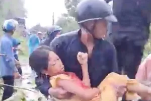 Mưa lớn kèm lốc xoáy ở Đồng Nai, 1 phụ nữ bị thương do cây đổ