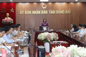 Sau sáp nhập tỉnh, Đồng Nai sẽ có quy định tách, hợp thửa đất 