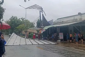 Đồng Nai: Mưa giông lốc xoáy khiến nhiều cây gãy đổ, nhà bị tốc mái
