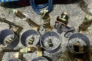 Bắt được 'mèo tặc' trong đêm