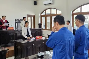 Cựu phó chi cục trưởng Chi cục THADS huyện Trảng Bom lãnh án vì nhận hối lộ