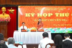 HĐND tỉnh Đồng Nai thông qua phương án làm 6 cây cầu kết nối với TP.HCM