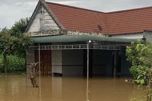Thủy điện xả lũ điều tiết cộng thêm triều cường gây ngập cho hàng trăm hộ dân ở Đồng Nai