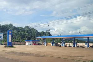 Phạt chủ cây xăng 'mọc' trên đất rừng suốt 10 năm ở Đắk Nông