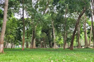 Xây dựng TP Buôn Ma Thuột thành khu đô thị thông minh, giàu bản sắc