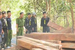 Công an đang làm rõ vụ bán tang vật giá thấp bất thường ở Đắk Lắk