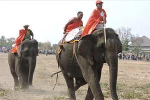 Lễ hội 'Đắk Lắk – Điểm đến của cà phê thế giới'