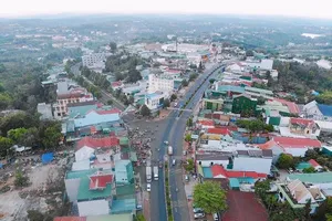 Nguyên nhân 4 xã ở Đắk Nông 'đóng băng' chuyển đổi mục đích sử dụng đất 