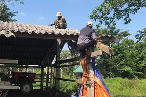 Gia đình nguyên Bí thư Đắk Lắk tháo dỡ trang trại nuôi bò trong khu bảo tồn