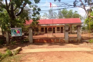 Xử lý trách nhiệm nguyên giám đốc công ty để mất hơn 1.626 ha rừng tự nhiên