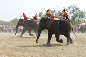Lễ hội cà phê Buôn Ma Thuột lần 8 sẽ có hội voi 