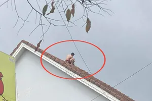 Giải cứu nam thanh niên leo lên nóc nhà có ý định tự tử