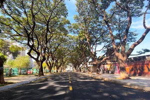 Khám phá đường sách và đường bích họa độc đáo ở Buôn Ma Thuột