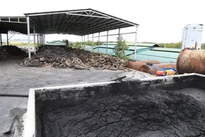 Phạt 3 công ty gây ô nhiễm môi trường ở Đắk Nông