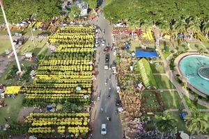 Chợ hoa tết 2023 vắng khách, người bán đứng ngồi không yên