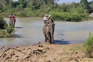 Một trung tâm du lịch ở Đắk Lắk dừng dịch vụ cưỡi voi