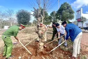 Đắk Lắk: Trồng gần 400 cây đào, tạo dựng nét đẹp văn hóa riêng