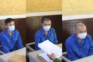 Làm giả hồ sơ dự án chăn nuôi heo chiếm đoạt 2,2 tỉ đồng