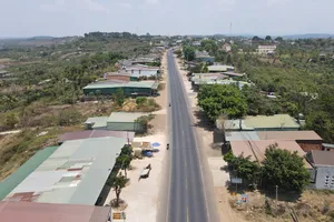 Vụ tạm giao 106 ha đất ở Đắk Nông: Không xử lý kỷ luật do hết thời hiệu