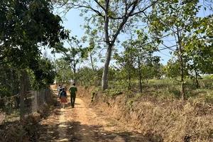 Công an làm rõ vì sao 1 thửa đất lại cấp chồng lấn cho 3 hộ