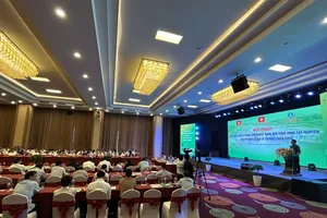 Cần cơ chế mới 'cởi trói' cho rừng ở Tây Nguyên