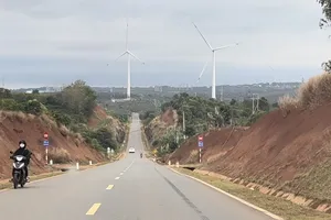 Xử lý trách nhiệm liên quan sai phạm tại các dự án điện gió ở Đắk Lắk