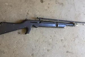 Mang súng hơi đi săn, 1 người bị bắn hỏng mắt