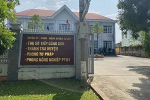 1 trưởng phòng tư pháp huyện bị cách chức vì trộm hoa giấy