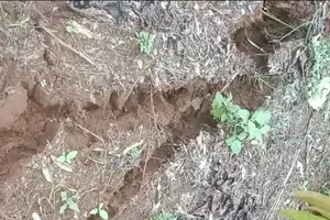 Thêm một huyện ở Đắk Nông xuất hiện nhiều vết nứt đất kéo dài 