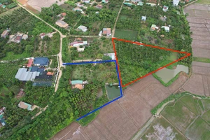 Huỷ án vụ bỗng nhiên hàng xóm tranh chấp lối đi không có thực