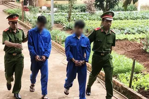 Thuê taxi đi cắt trộm hơn 6 tạ sầu riêng