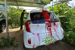 Khởi tố vụ án để điều tra vụ xe PV báo Tuổi Trẻ bị tạt sơn