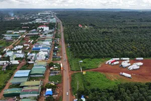 Nghi làm giả giấy ủy quyền để xuất khẩu sầu riêng chính ngạch