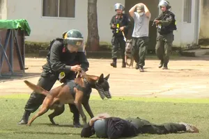 Huấn luyện chó nghiệp vụ hỗ trợ phát hiện ma túy, tấn công tội phạm