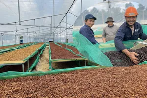 10 nhiệm vụ trọng tâm của tỉnh Đắk Lắk trong thời gian tới