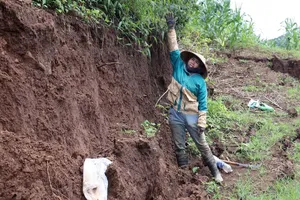 Sụt lún 9 ha đất ở Đắk Nông