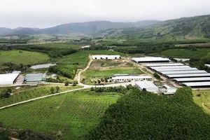 Cho doanh nghiệp tạm ứng ngân sách 55 tỉ , Uỷ ban tỉnh Đắk Lắk gấp rút thu hồi 