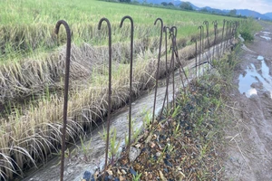 Ngổn ngang công trình đê bao ngăn lũ ở Đắk Lắk 