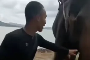 Đắk Lắk: Khách du lịch bị voi tấn công vì tự ý chạm vào vòi 